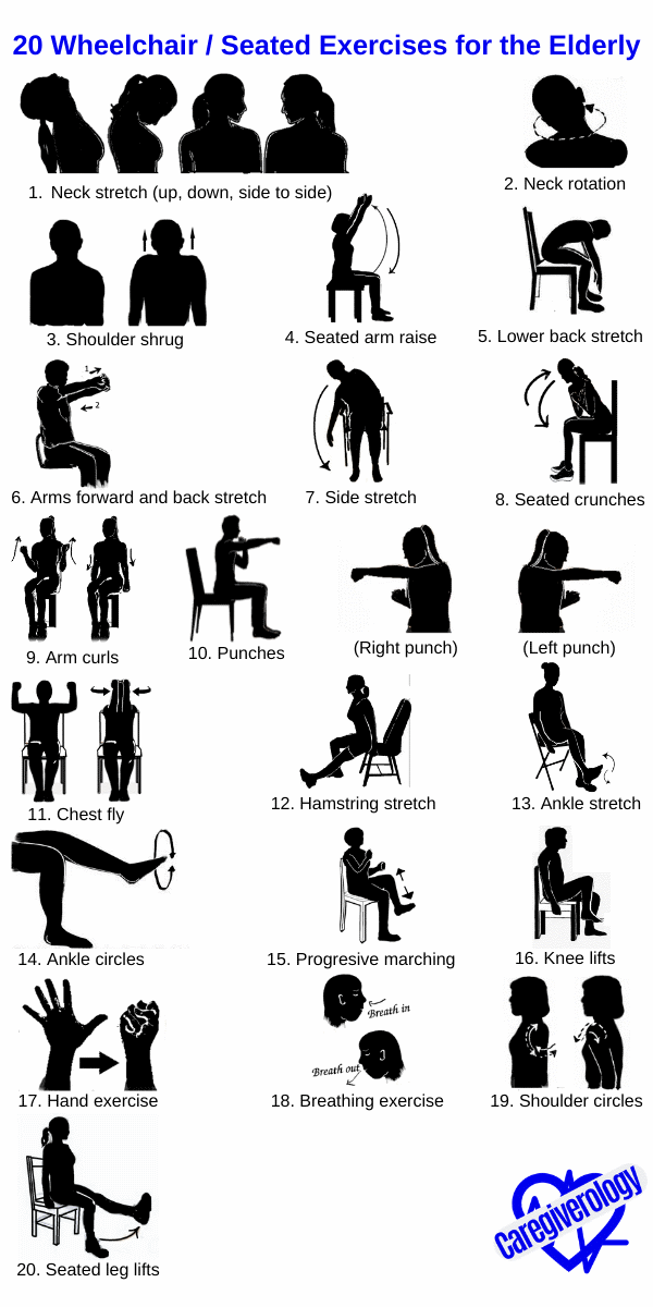 20 Wheelchair / Seated Exercises for the Elderly