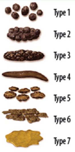 Bristol Stool Chart