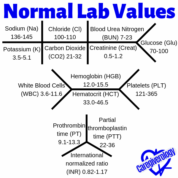Normal lab values chart