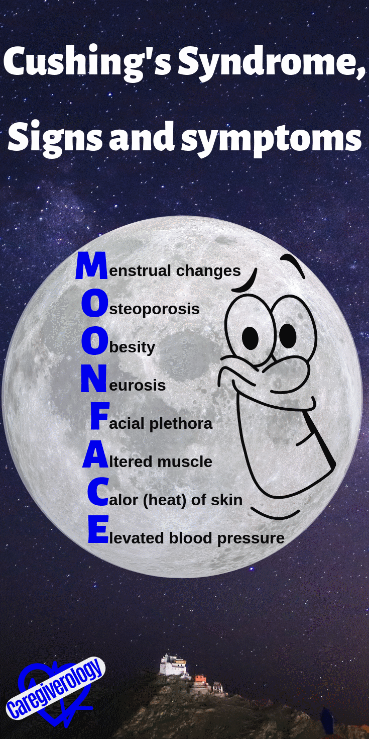 Many Medical Mnemonics for Memorization - Caregiverology