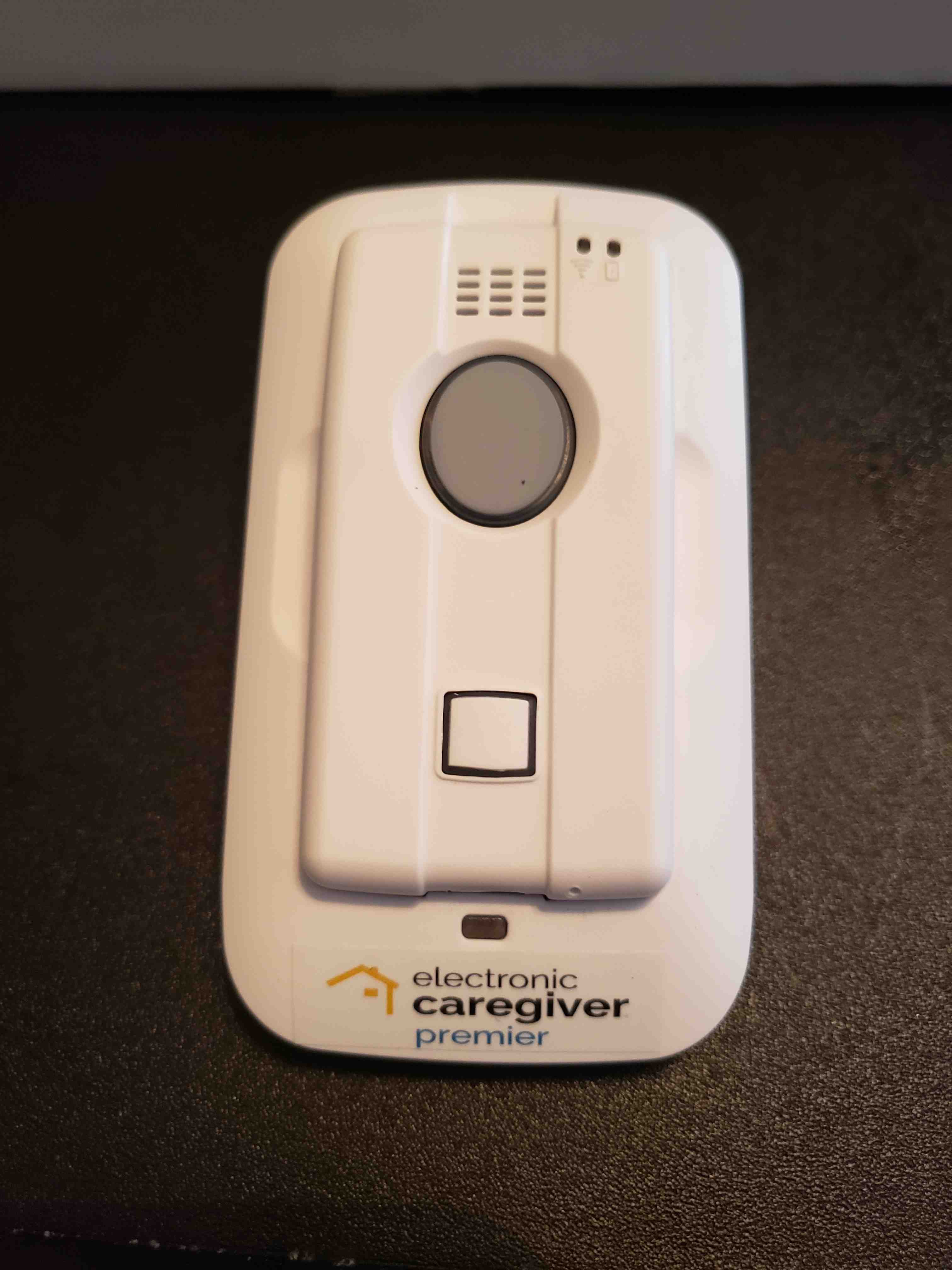 The Electronic Caregiver In Depth Overview - Caregiverology
