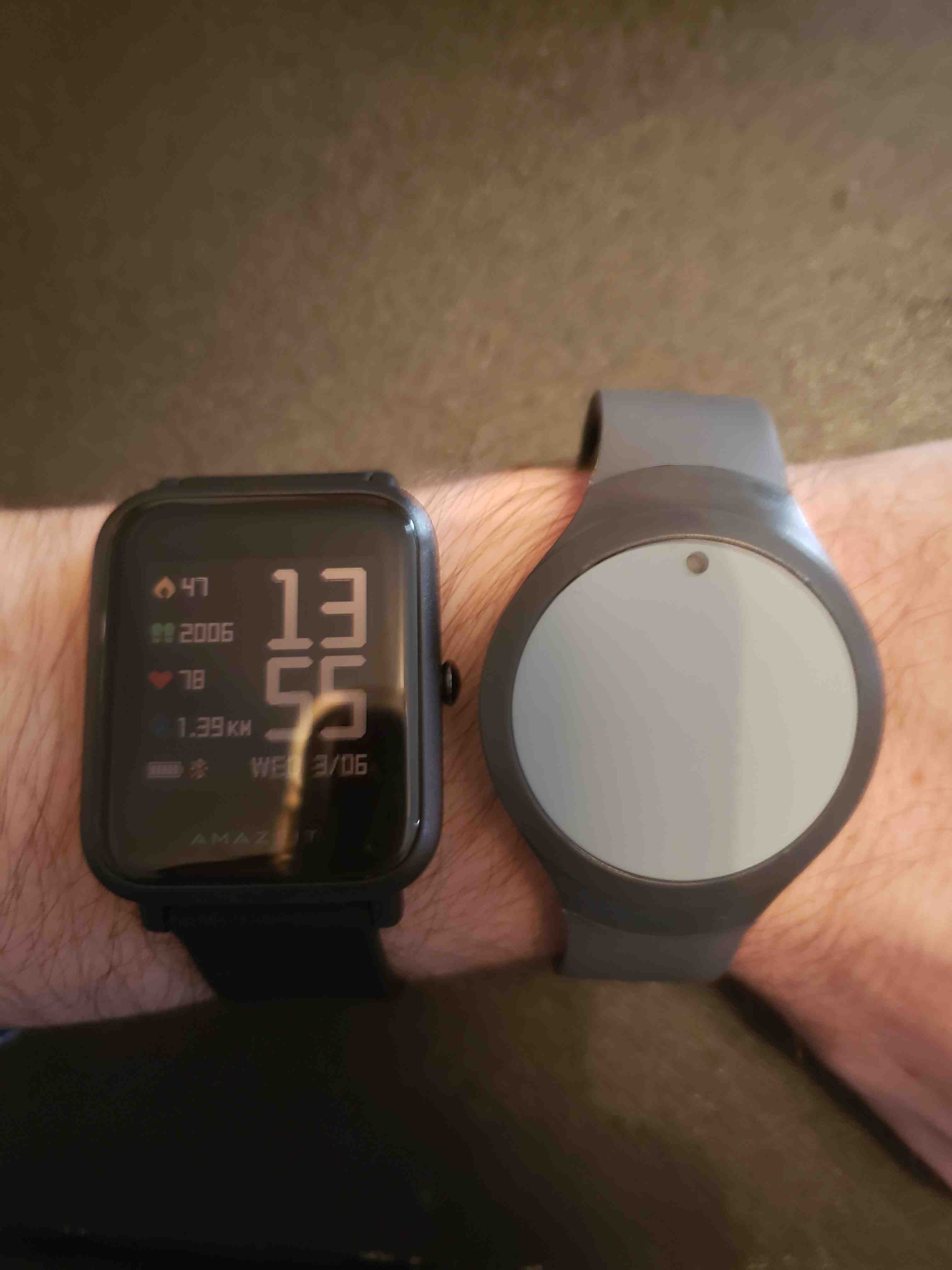 ECG wrist pendant and smart watch