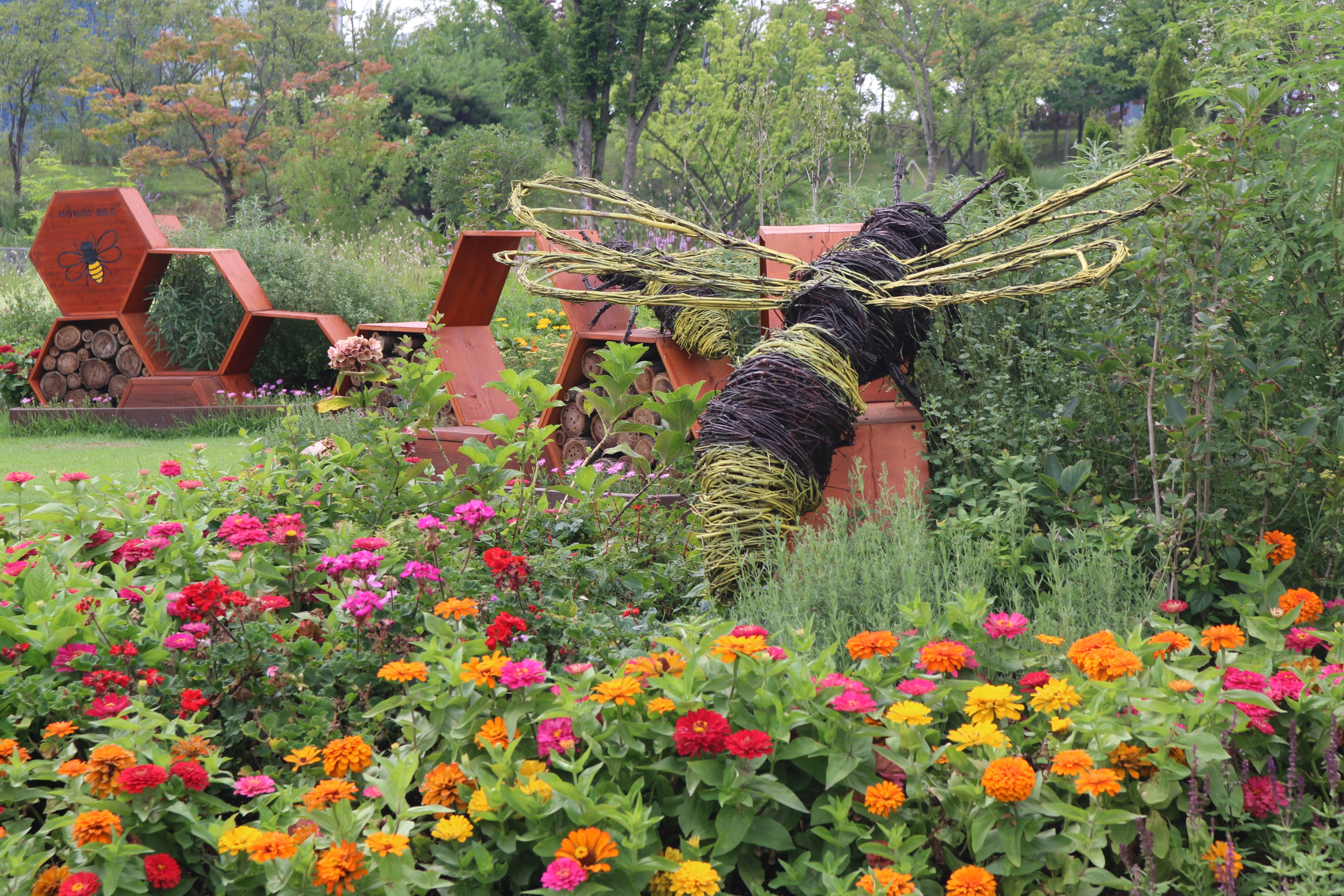 gardening dementia 2