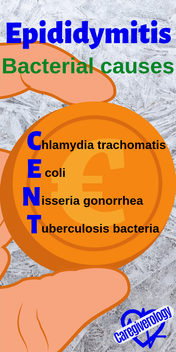Epididymitis, bacterial causes: CENT mnemonic