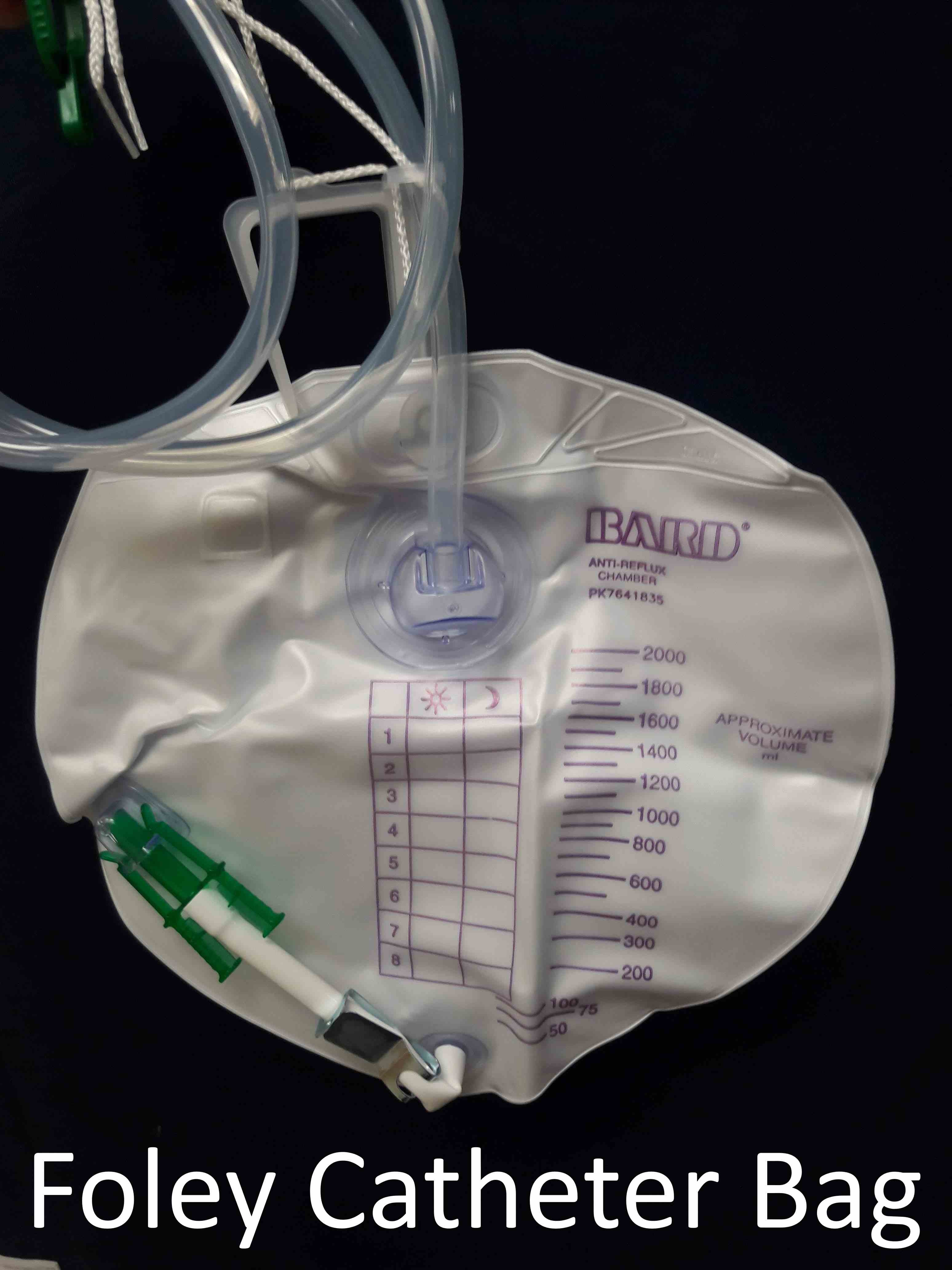 Foley catheter bag