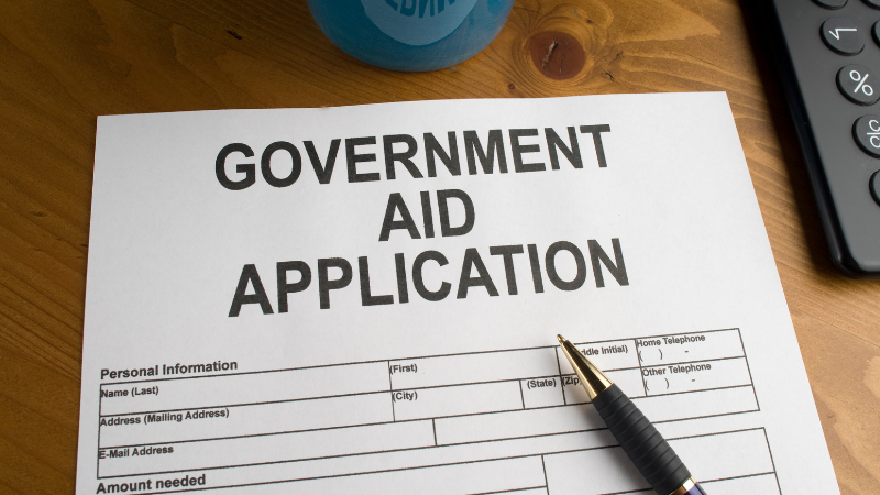 government aid pic