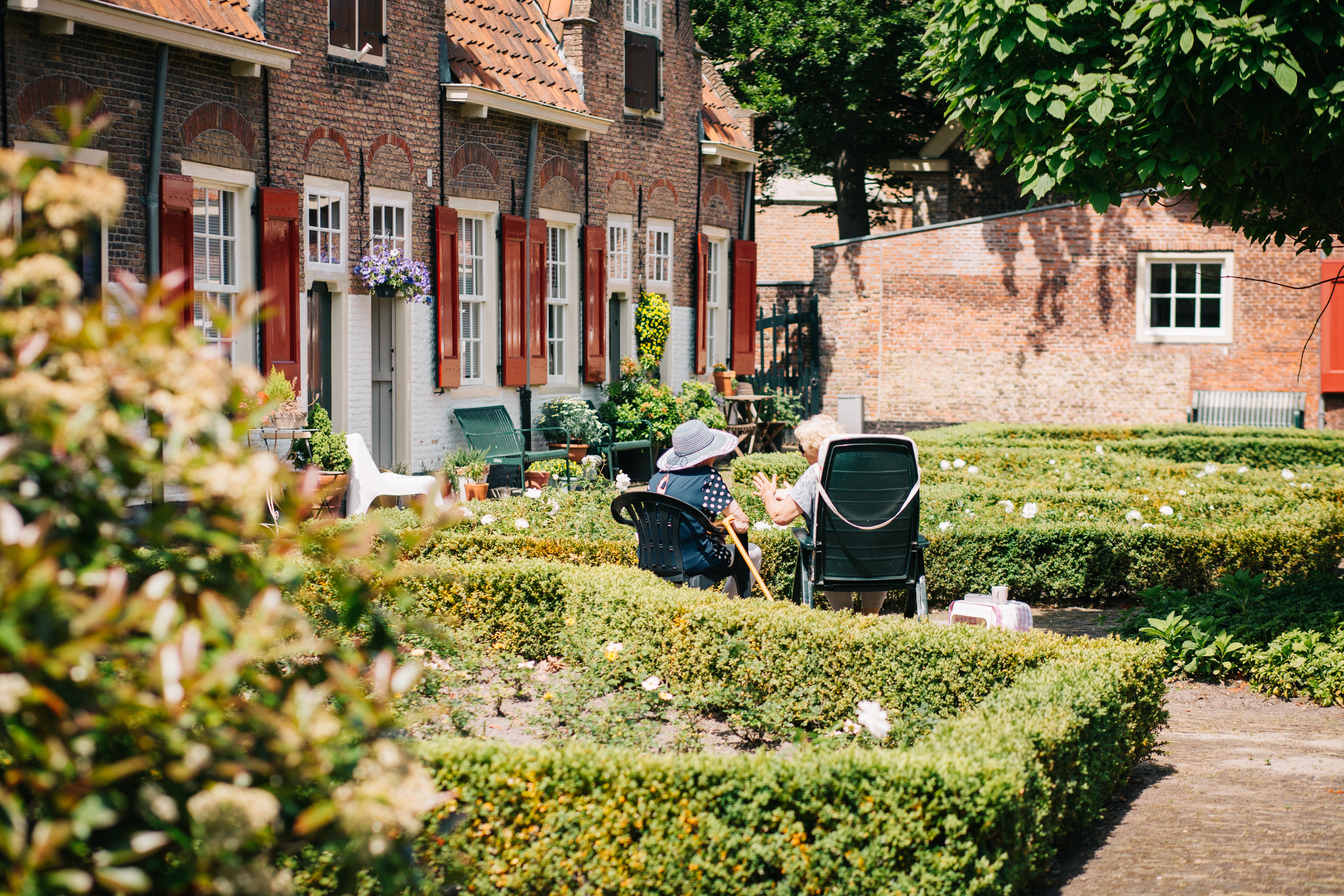 gardening dementia 1