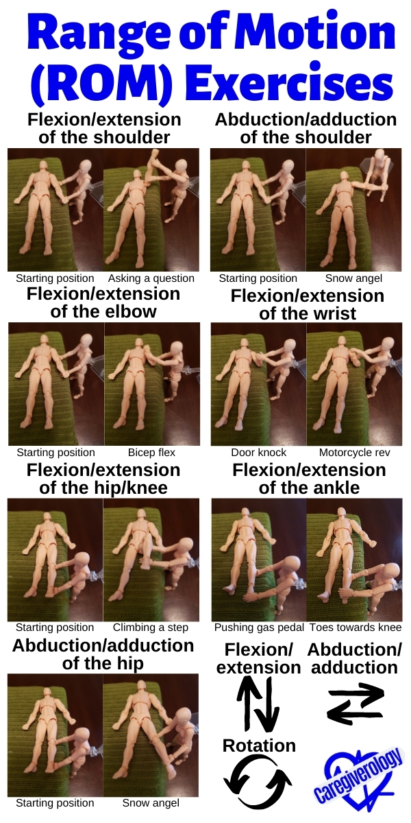 Range of Motion (ROM) Exercises
