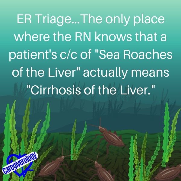 Sea roaches of the liver