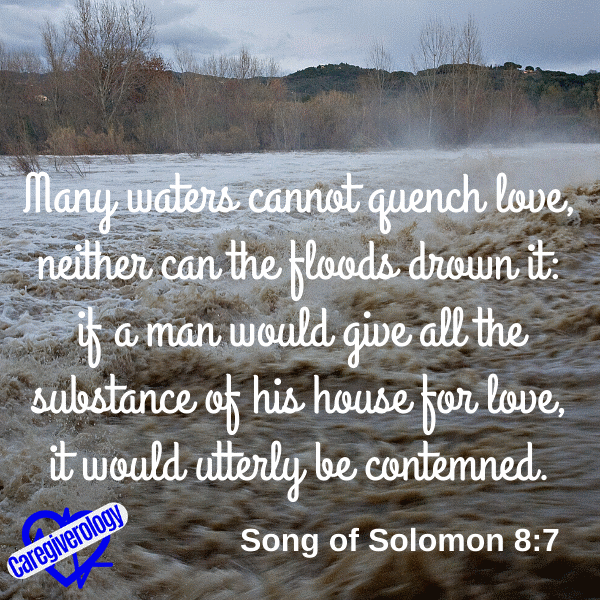 Many waters cannot quench love