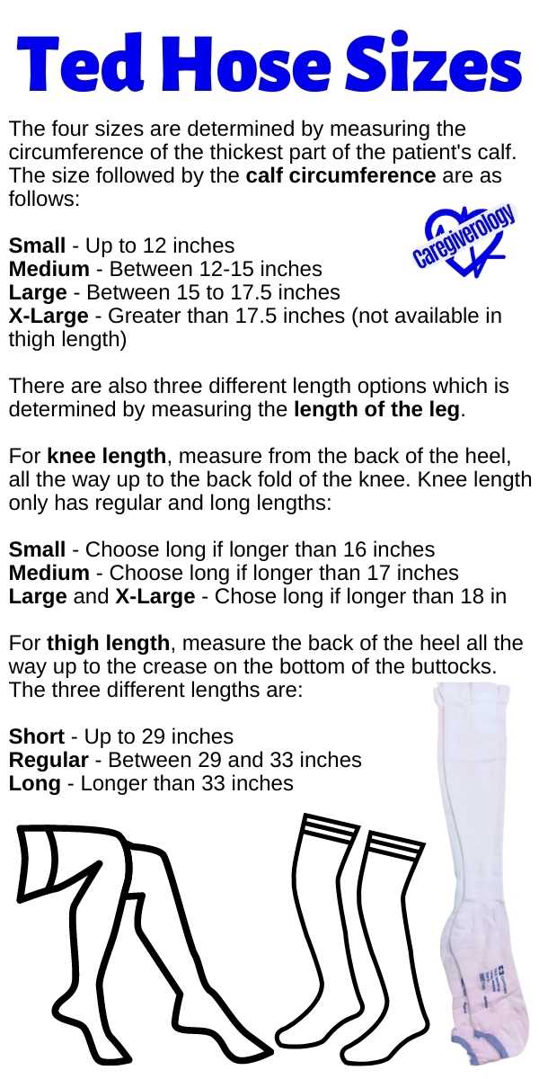 Ted Compression Size Chart