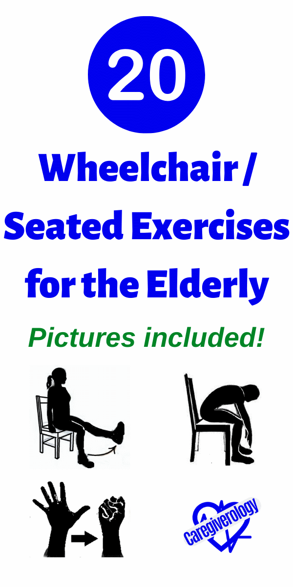 20 Wheelchair / Seated Exercises for the Elderly