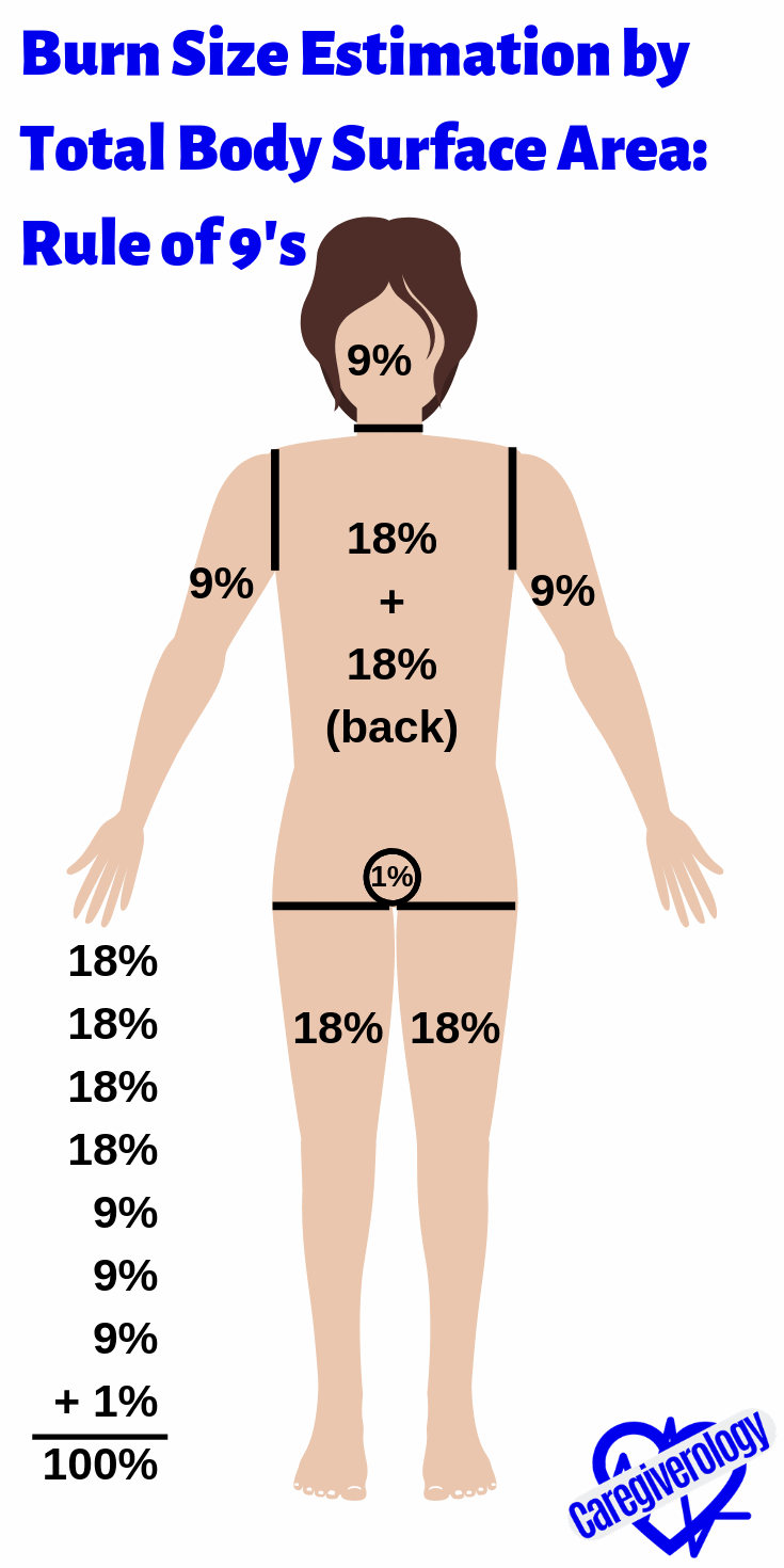Burn size estimation