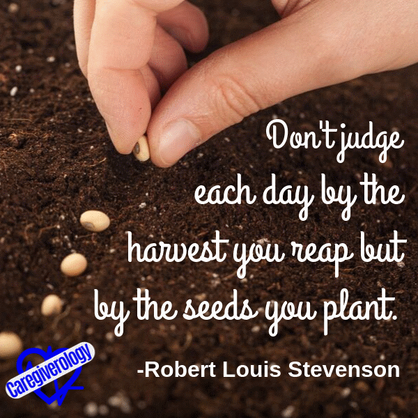 Don't judge each day by the harvest you reap