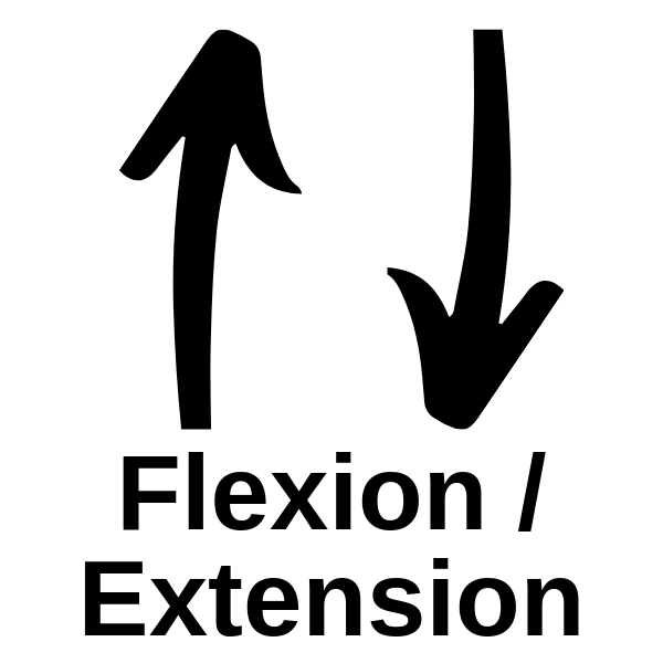 ROM flexion and extension