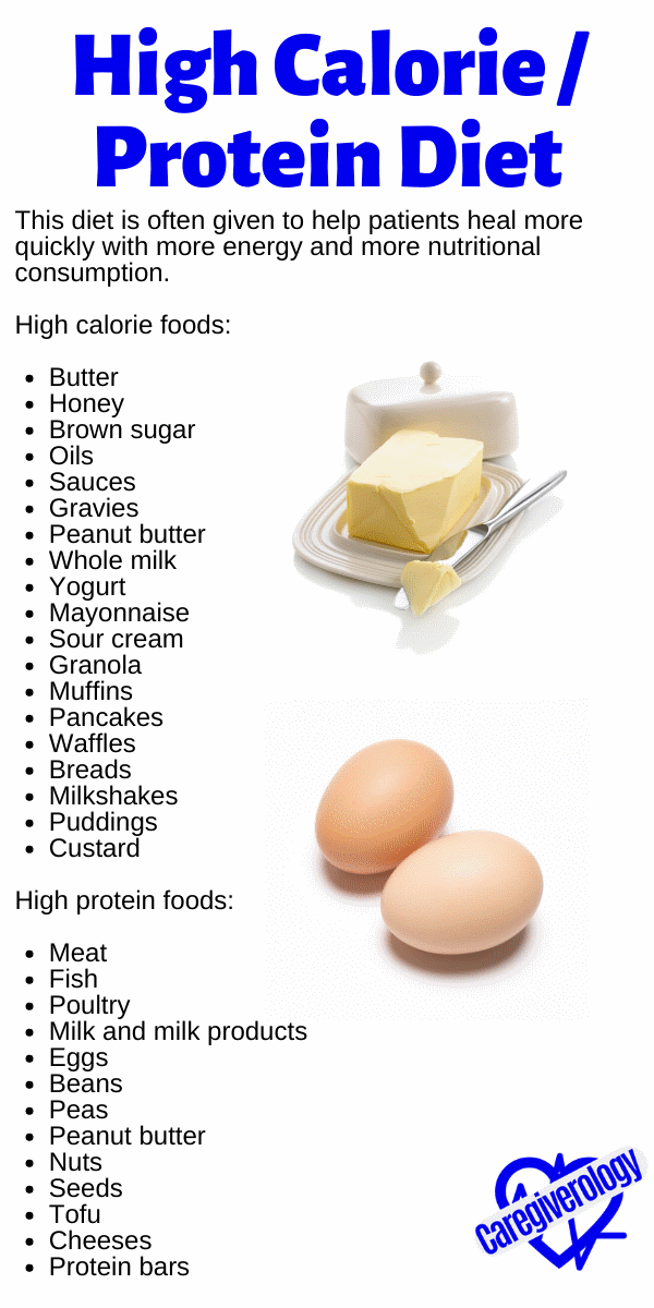 High Calorie / Protein Diet