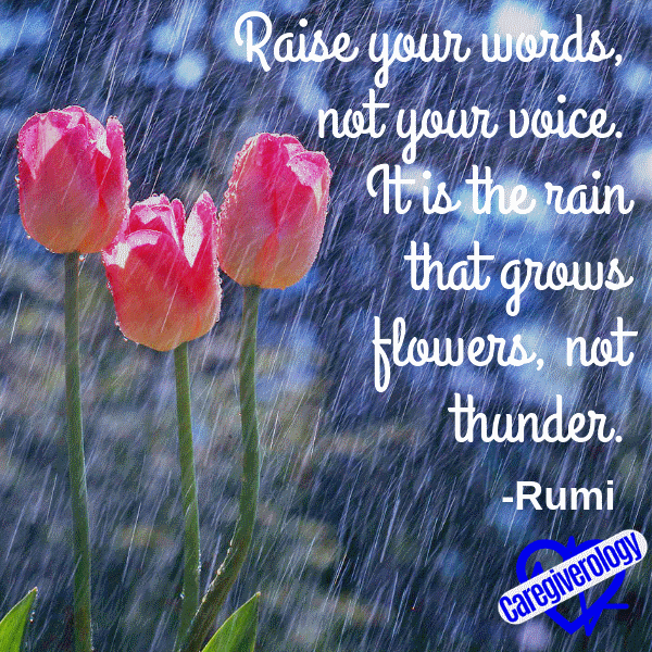 Raise your words, not your voice