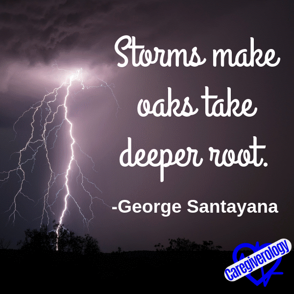 Storms make oaks take deeper root