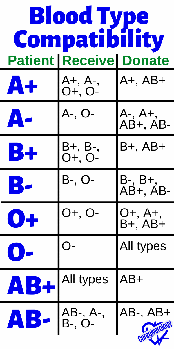 Blood Type Compatibility: Receive and Donate