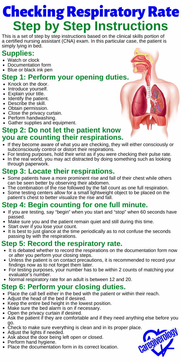 Checking Respiratory Rate Step by Step Instructions