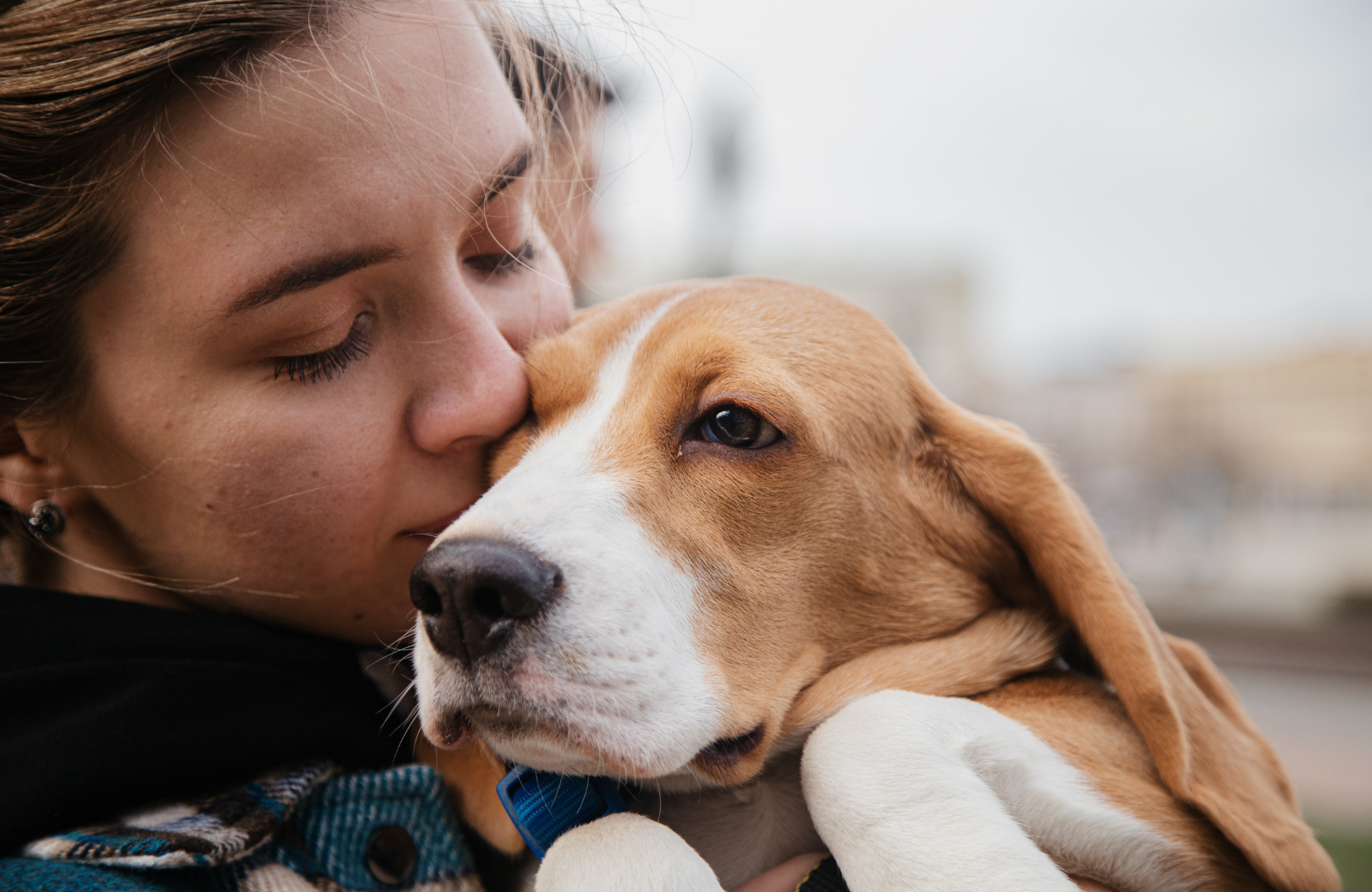 emotional benefits animals large