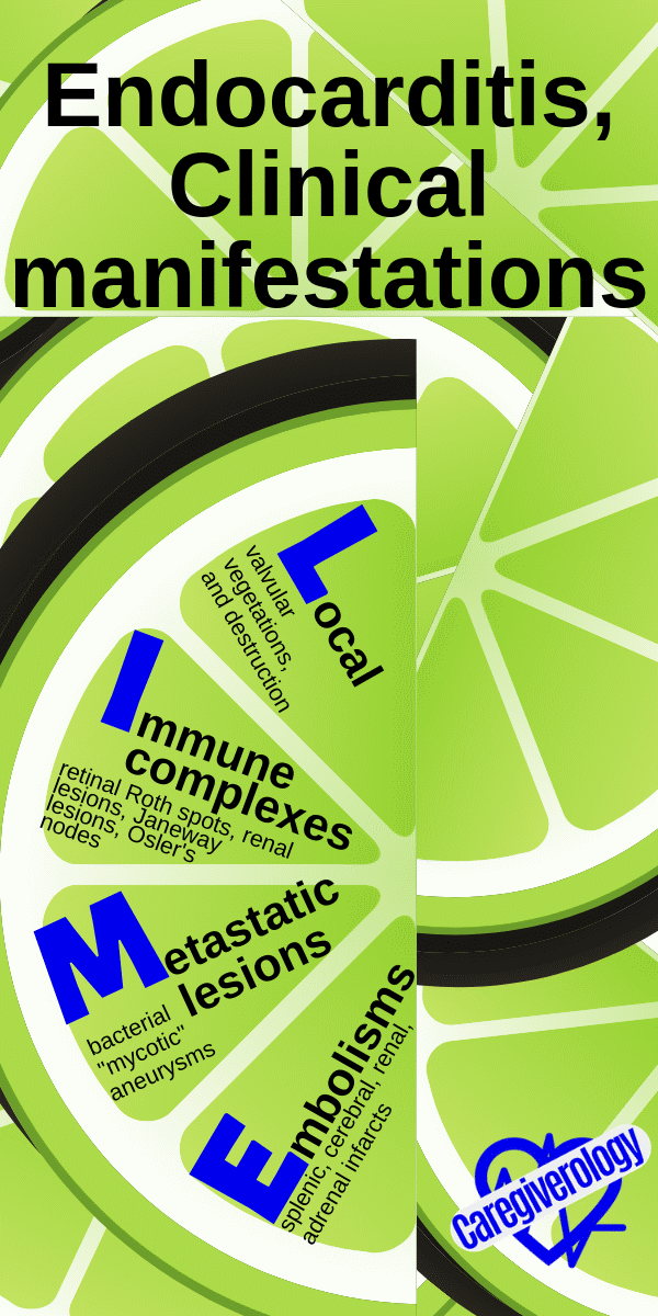 Endocarditis, clinical manifestations: LIME mnemonic