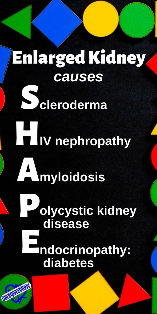 Enlarged Kidneys, causes: SHAPE mnemonic