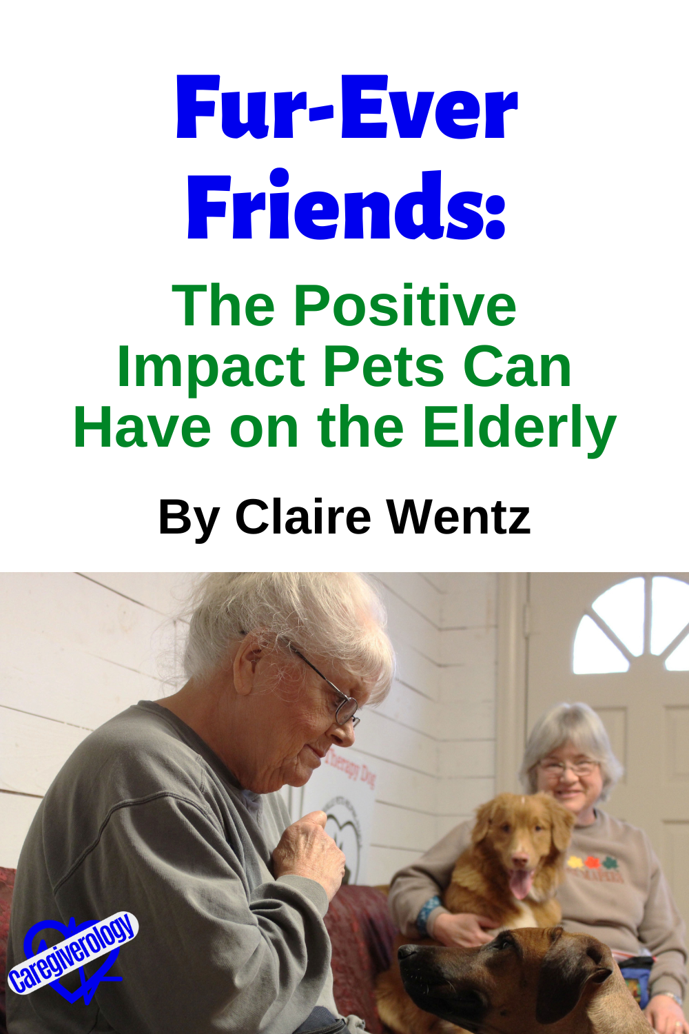 pets elderly pin