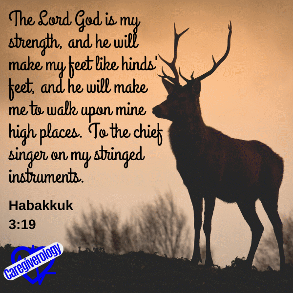 The Lord God is my strength