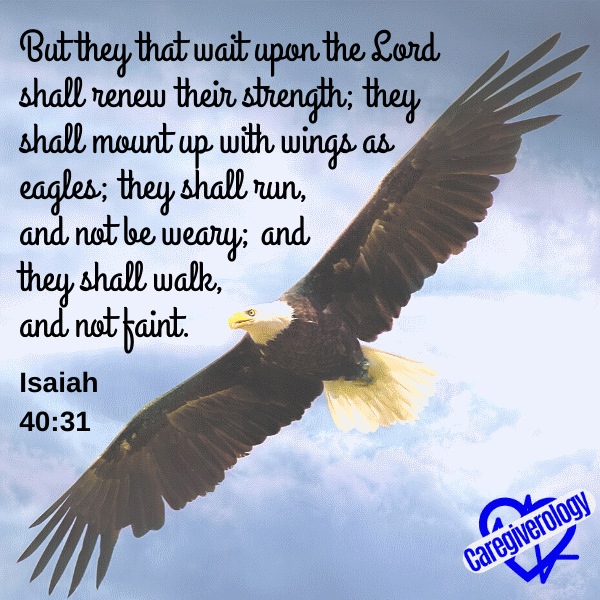 But they that wait upon the Lord shall renew their strength