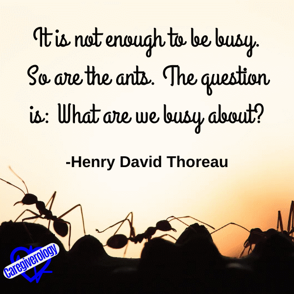 It is not enough to be busy
