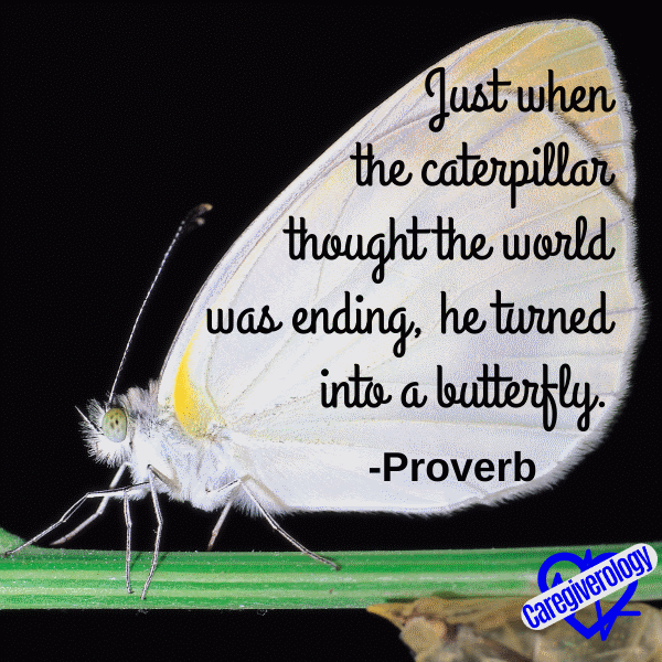 Just when the caterpillar thought the world was ending