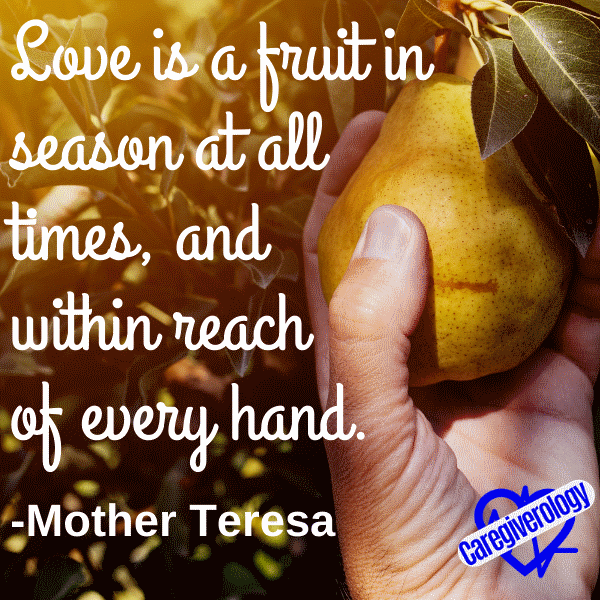 Love is a fruit in season at all times