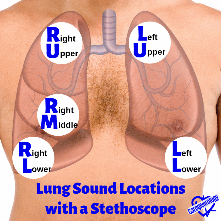 Lung Sound Locations with a Stethoscope