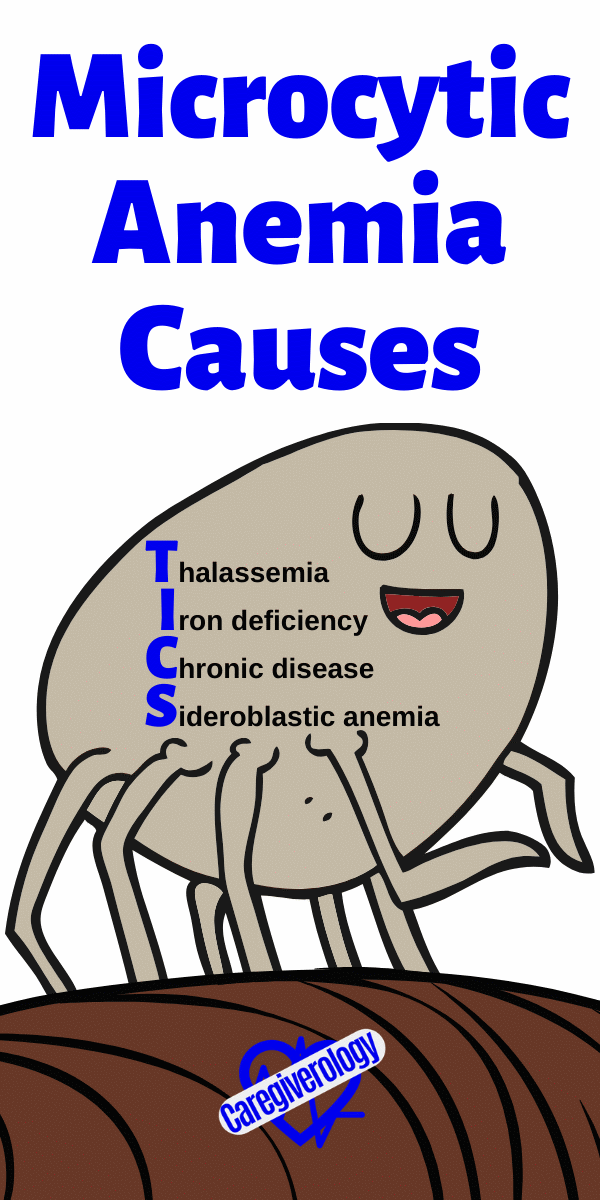 Microcytic Anemia Causes: TICS