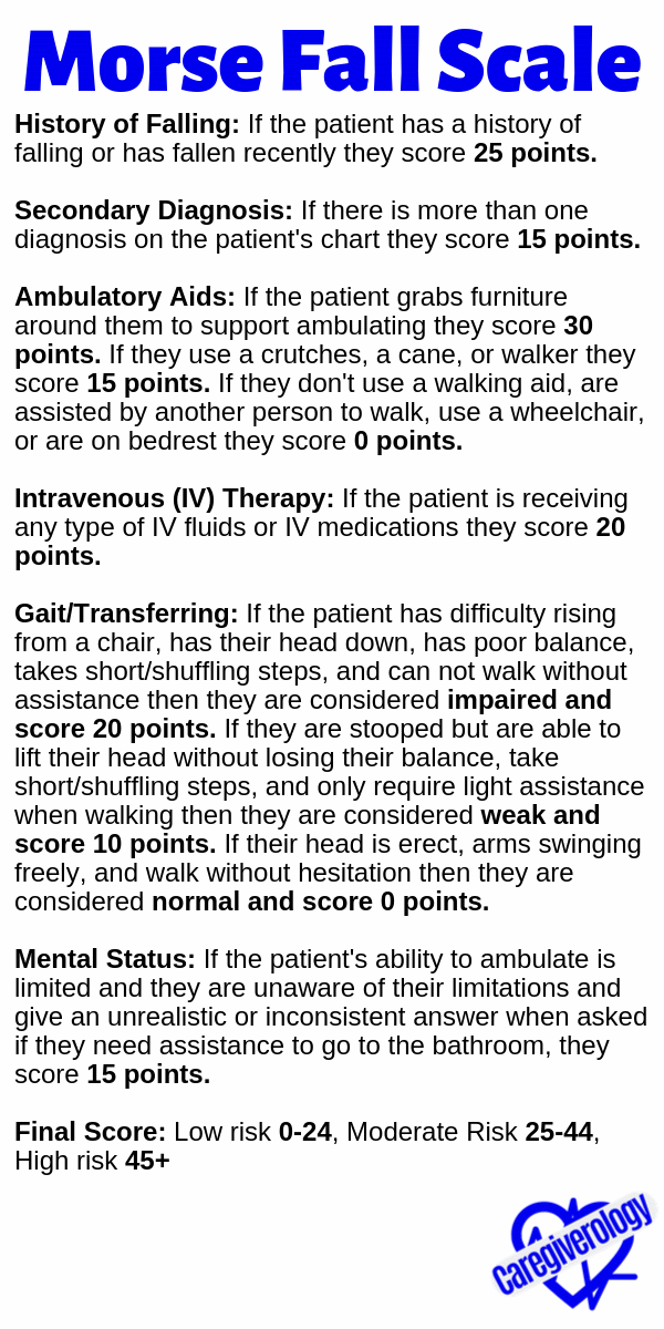 Morse Fall Scale