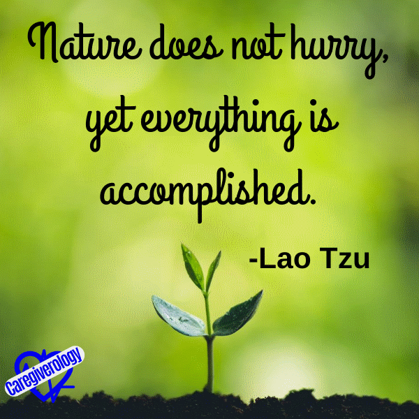 Nature does not hurry, yet everything is accomplished