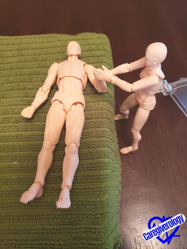 ROM wrist flexion and extension forward