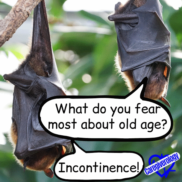 What do you fear most about old age?