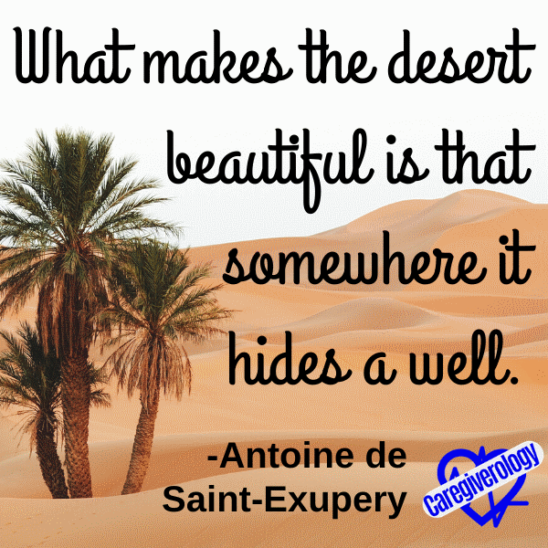 What makes the desert beautiful