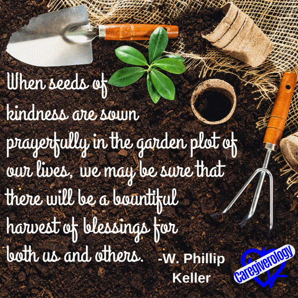 When seeds of kindness are sown